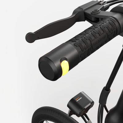 techtron TEF2-3+ EVO - Foldable e-Bike techtron