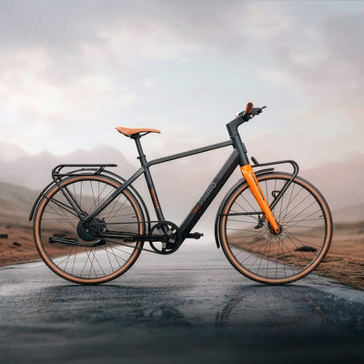 techtron TE3 PRIMO Range - Electric Bike techtron