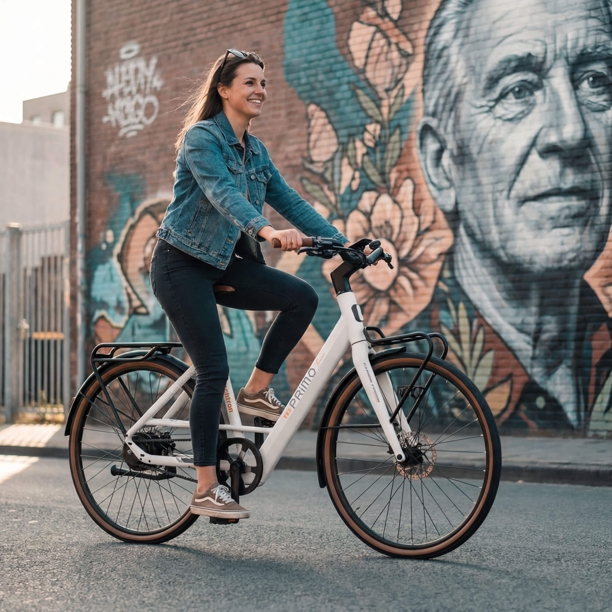 techtron TE3 PRIMO Range - Electric Bike techtron