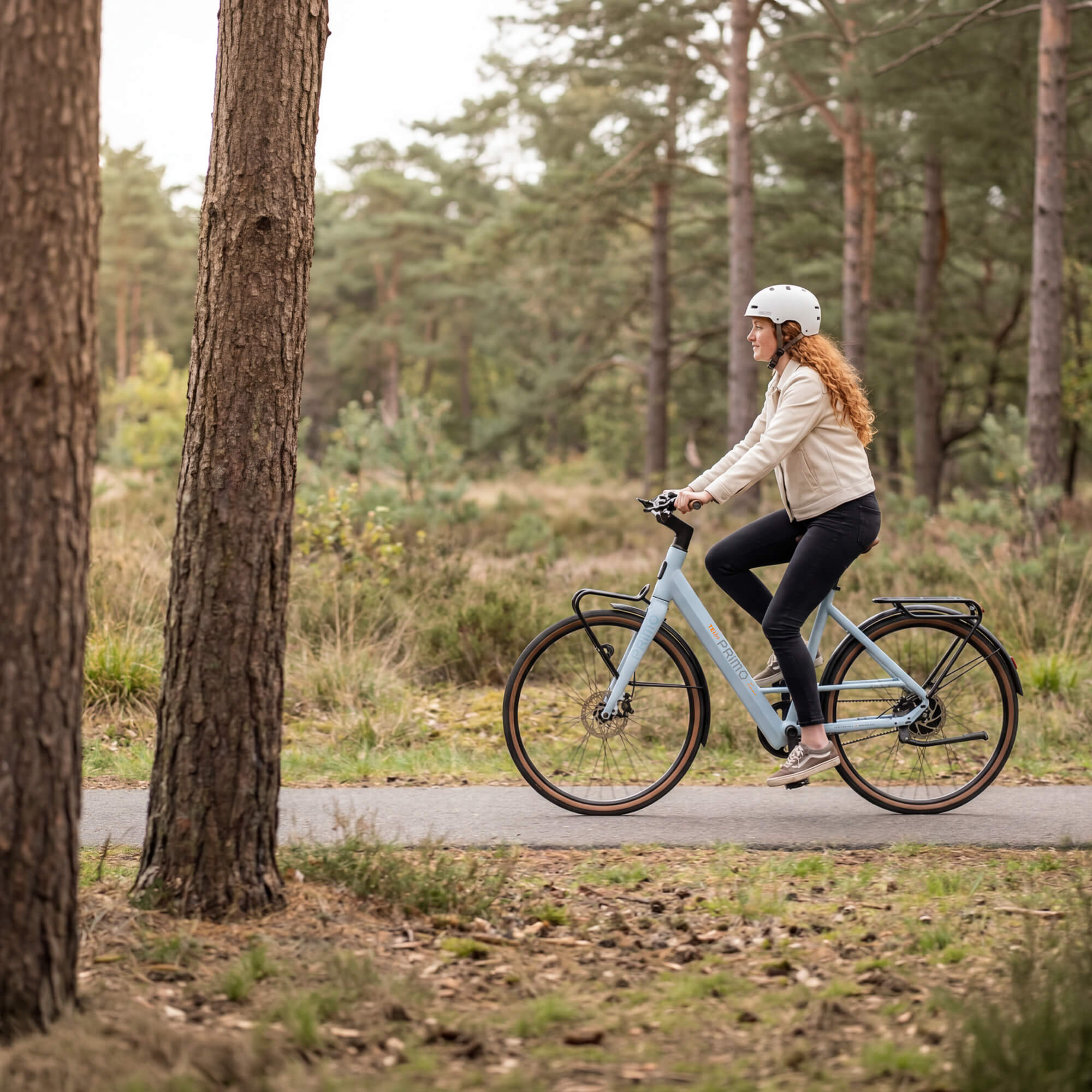 techtron TE3 PRIMO Range - Electric Bike techtron