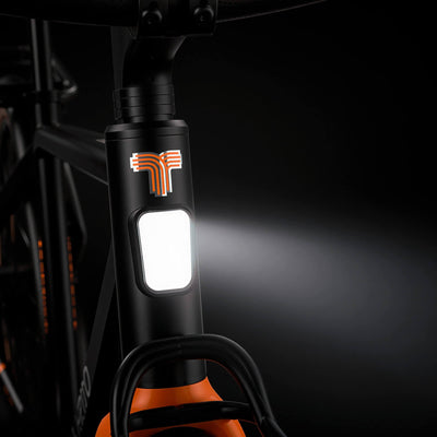 techtron TE3 PRIMO Range - Electric Bike techtron