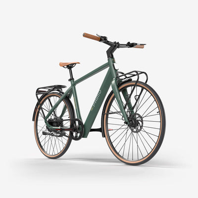 techtron TE3 PRIMO Range - Electric Bike techtron