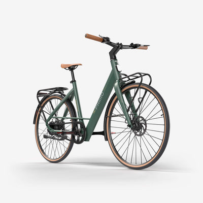 techtron TE3 PRIMO Range - Electric Bike techtron